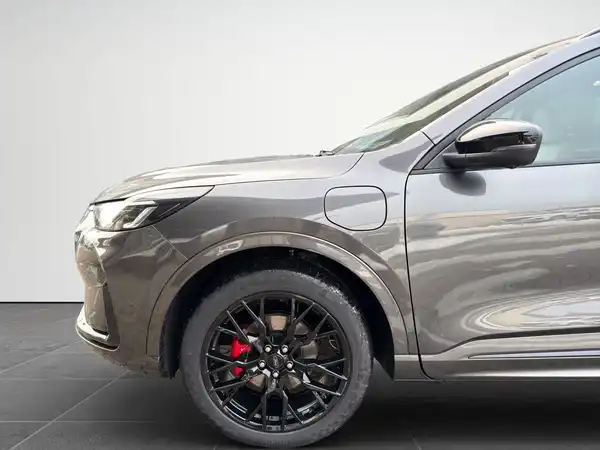 FORD KUGA (14/16)