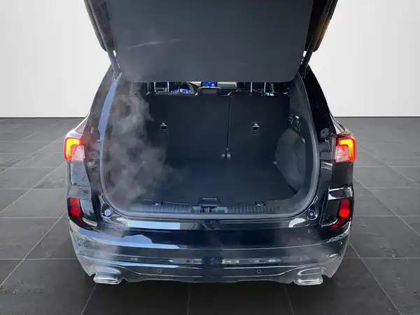 FORD KUGA (14/21)