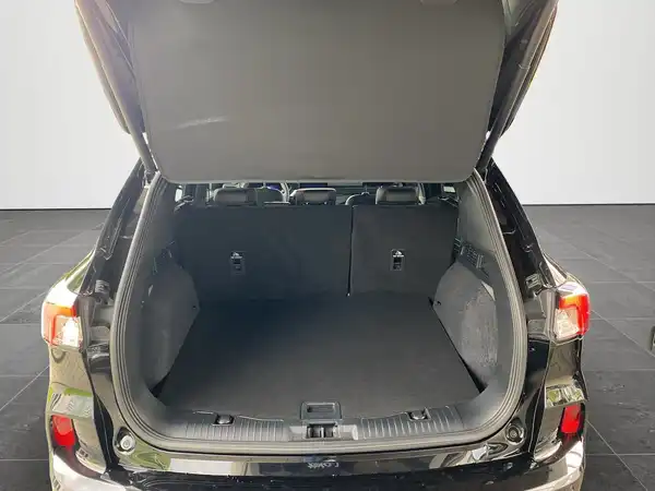 FORD KUGA (14/19)