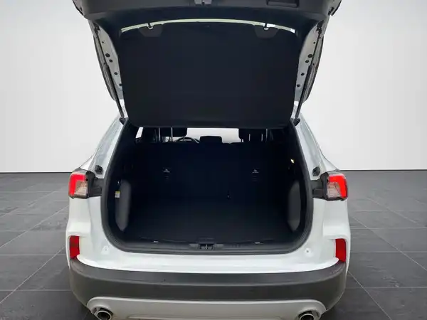 FORD KUGA (14/20)