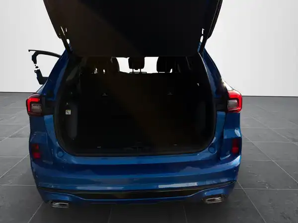 FORD KUGA (14/18)