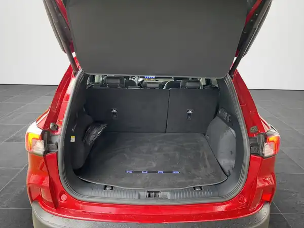 FORD KUGA (22/22)