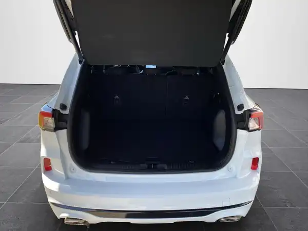 FORD KUGA (14/21)