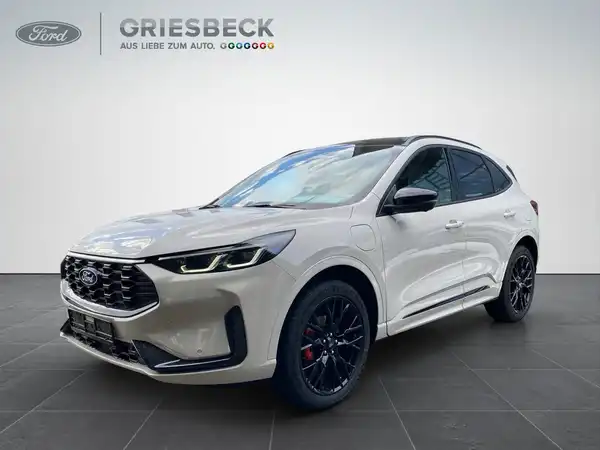 FORD KUGA (1/21)