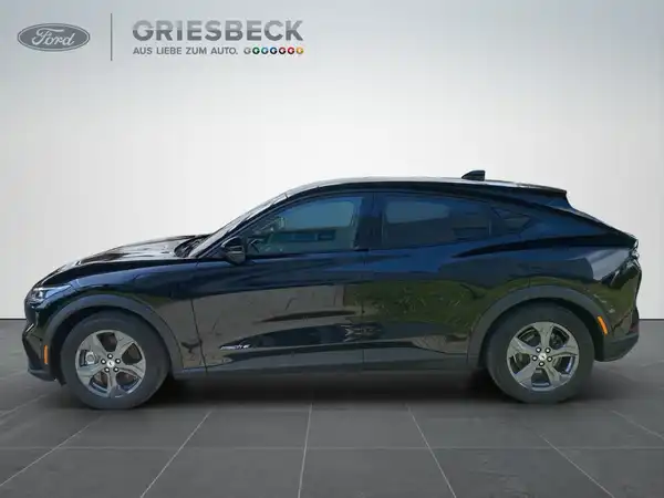 FORD MUSTANG (2/23)