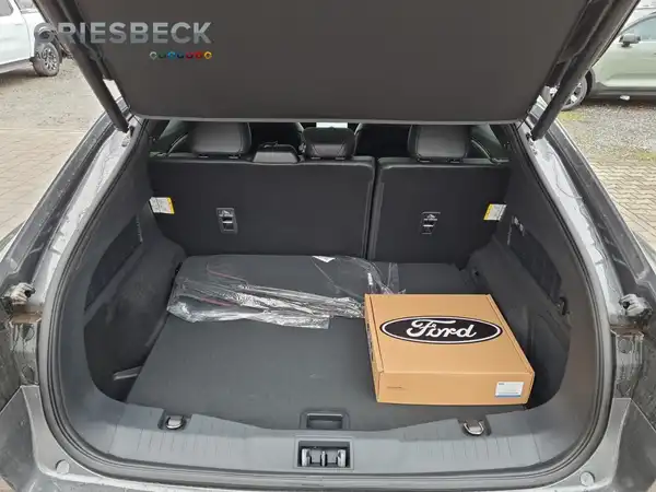 FORD MUSTANG (10/16)