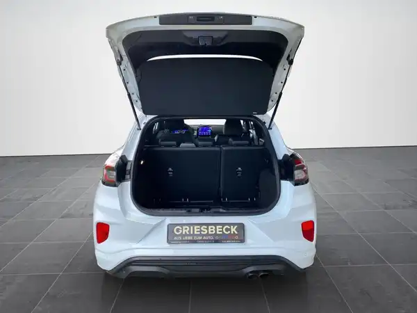 FORD PUMA (14/19)