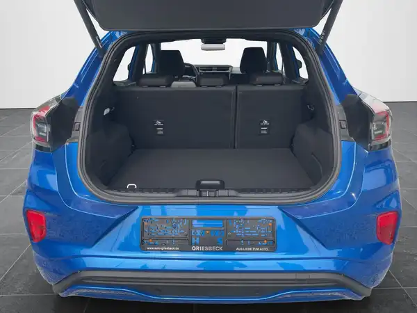 FORD PUMA (14/17)