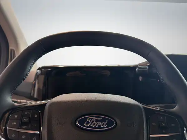 FORD TRANSIT (14/17)