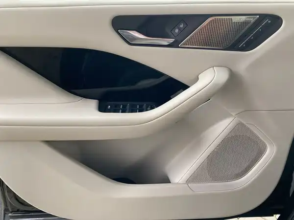 JAGUAR I-PACE (17/23)