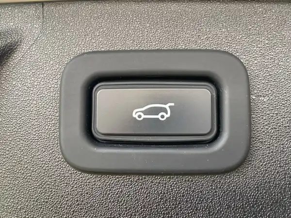 LAND ROVER DISCOVERY SPORT (20/20)