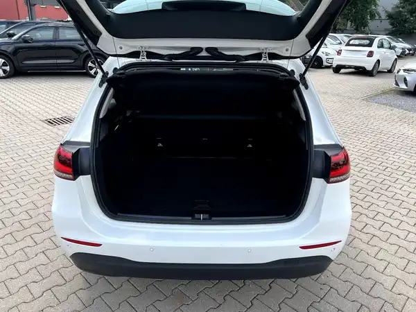 MERCEDES-BENZ B 220 (7/26)