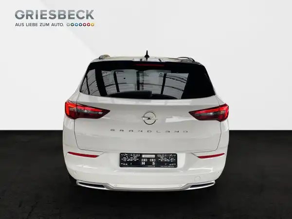 OPEL GRANDLAND (5/20)