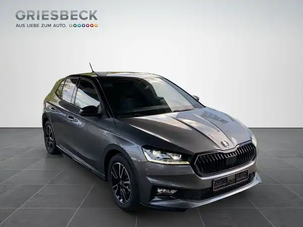 ŠKODA FABIA (6/18)