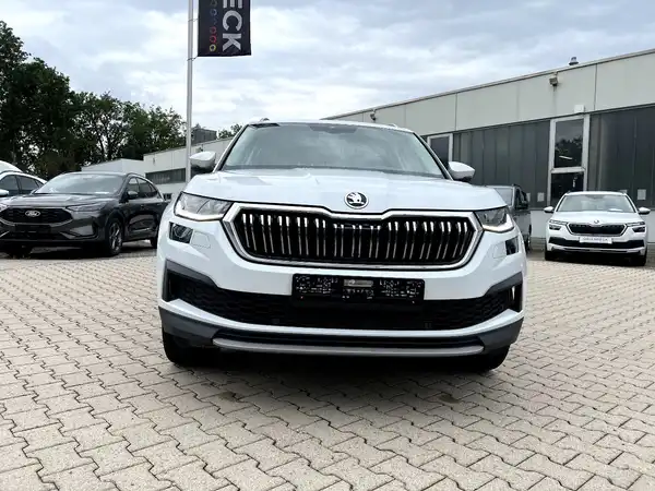 ŠKODA KODIAQ (6/27)