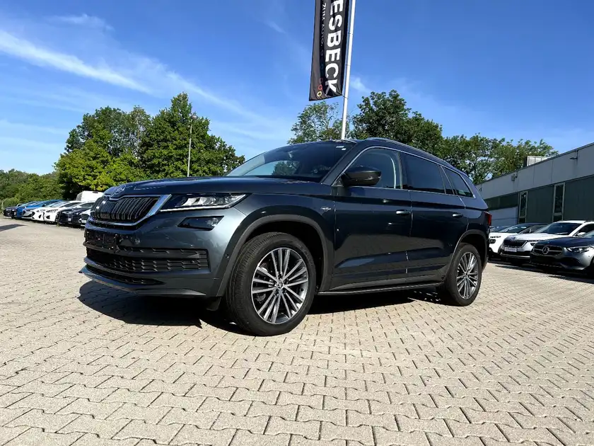 ŠKODA KODIAQ (1/29)
