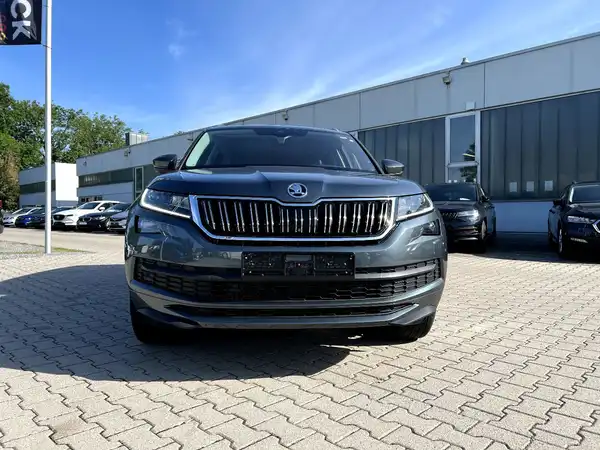 ŠKODA KODIAQ (6/29)