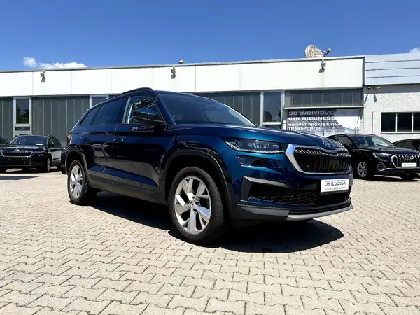 ŠKODA KODIAQ (5/27)