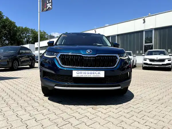ŠKODA KODIAQ (6/27)
