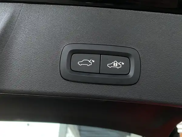 VOLVO C40 (19/20)