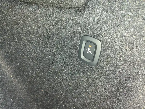 VOLVO C40 (20/20)