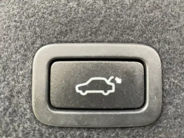 VOLVO XC60 (19/20)