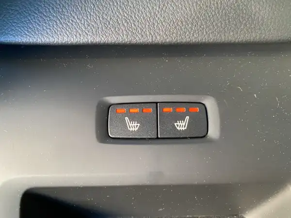 VOLVO XC60 (19/20)